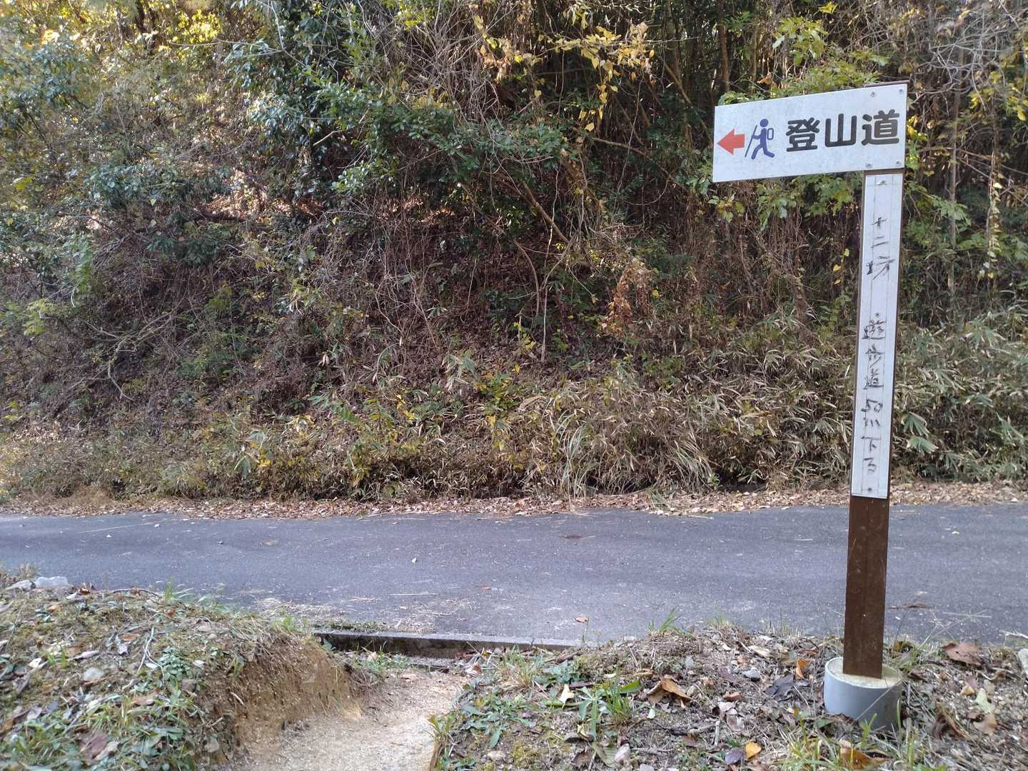 と思ったらすぐ舗装路に出て、また次の登山口へ。