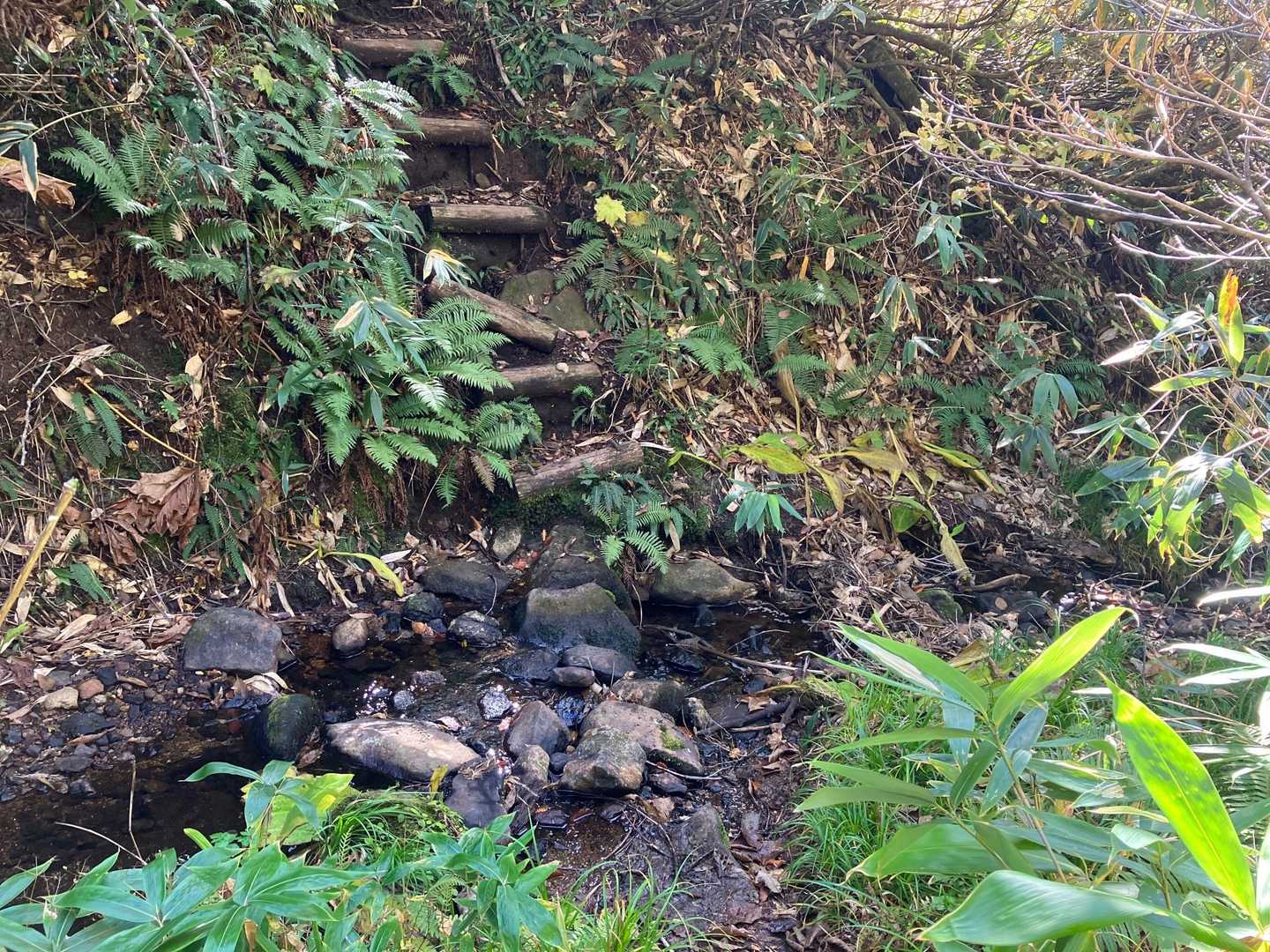 細い沢の渡渉箇所が２つありました。