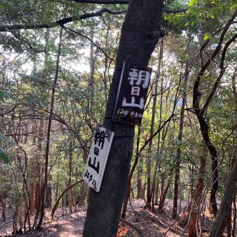 朝日山山頂