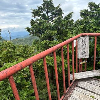 稲村ヶ岳・1,726m
20年ぶりのピーク✨
ここから右へ移動すると、とんでもない羽アリに襲われます⚠️