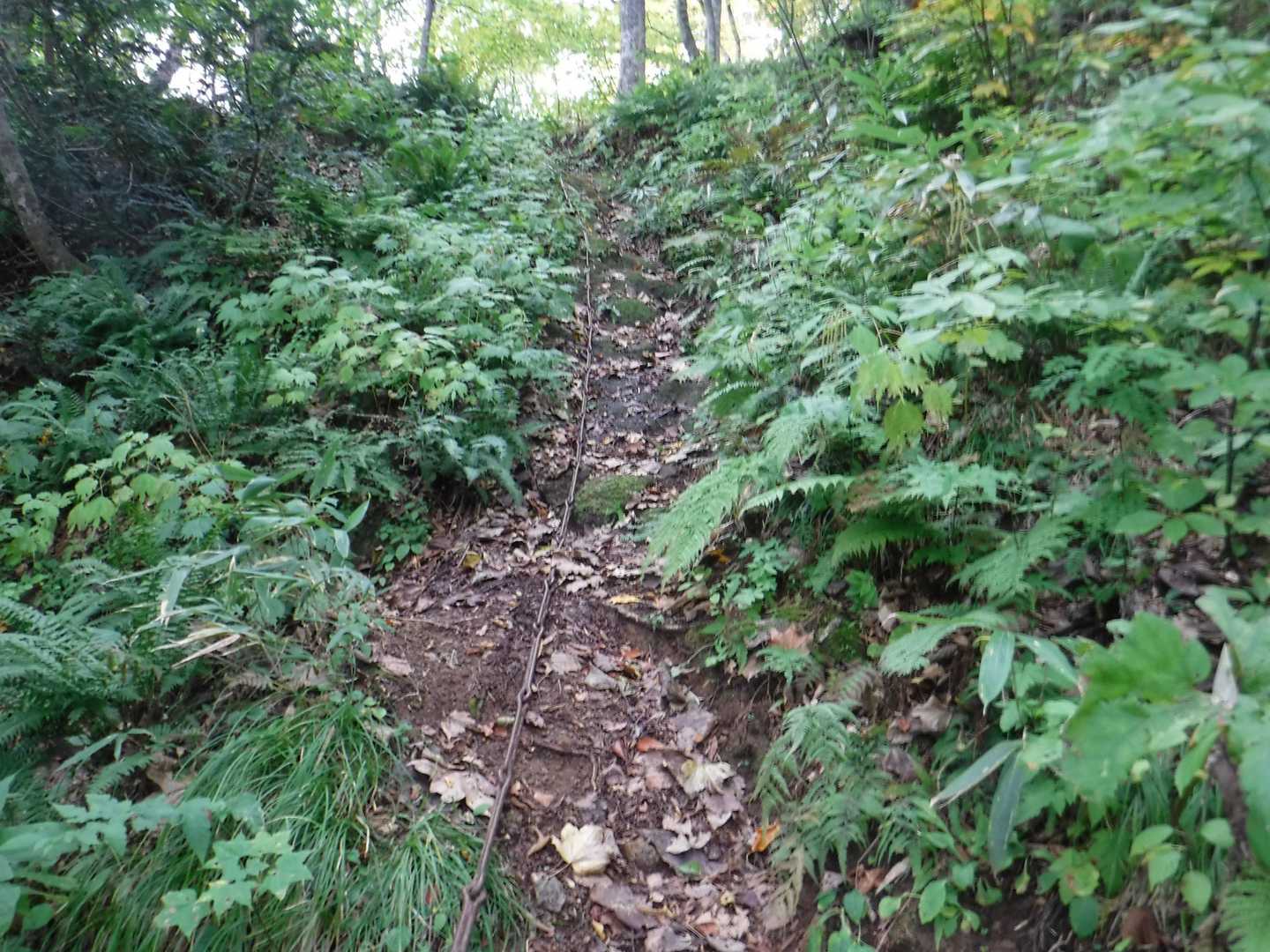 保呂羽山 周回コースの写真
