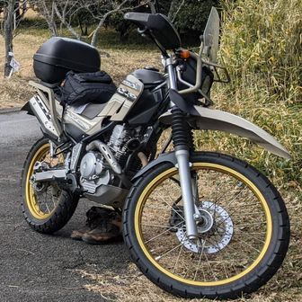 serow