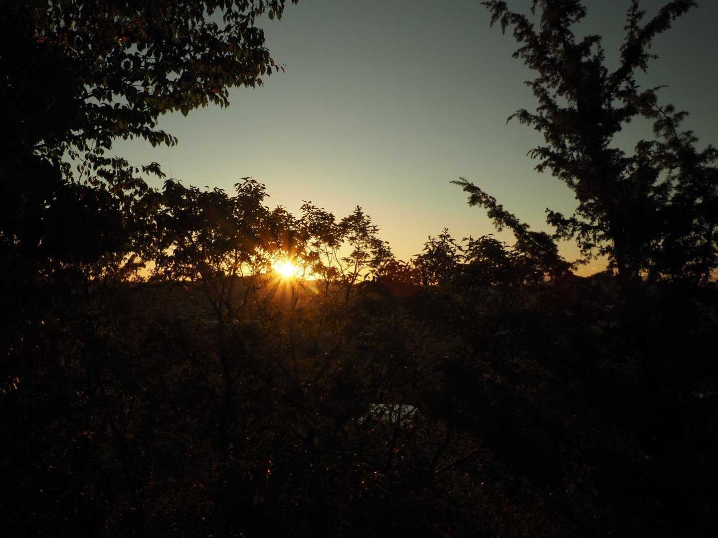 本当は山頂で日の出を見たかったけど
ちょっと寝坊してしまい
5丁あたりでご来光🌅