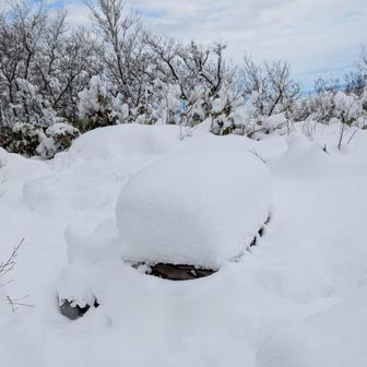ベンチにこんもり❄