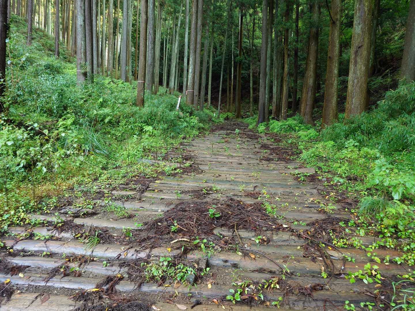 丸太舗装と言う豪快な施工。