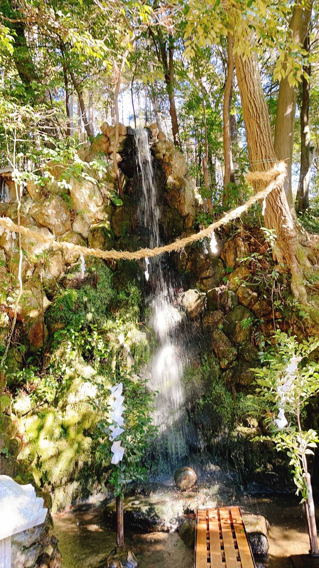伊吹の滝登山口-各務原権現山 往復コースの写真