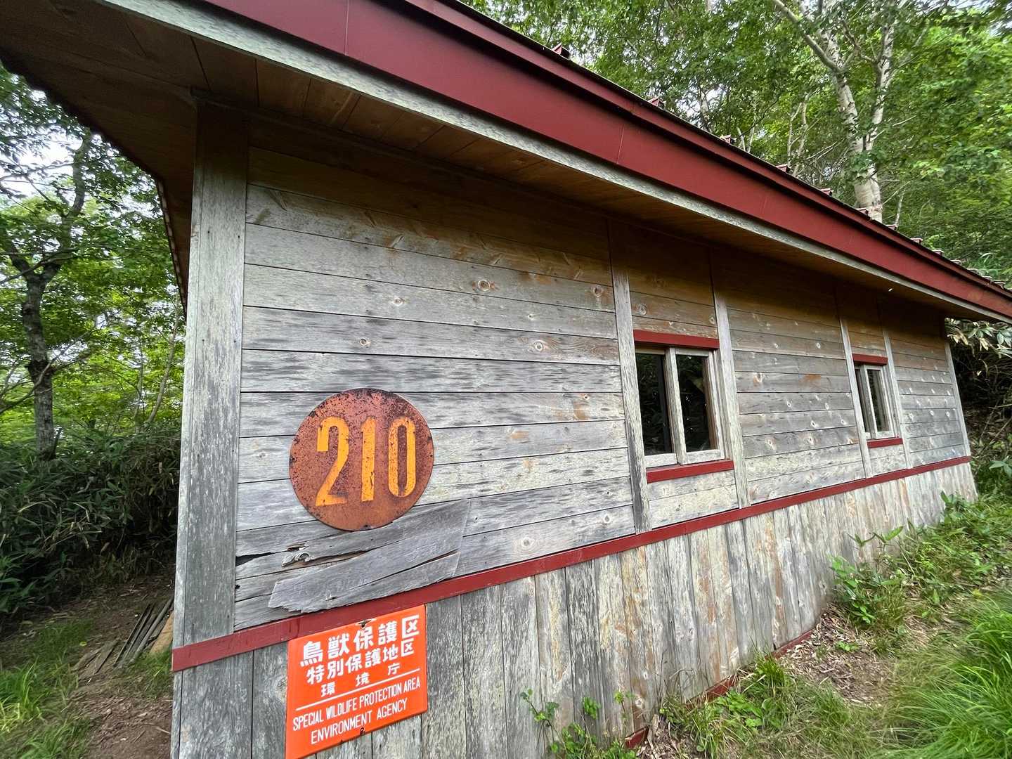 鶏頭山避難小屋

途中ですれ違った方から、鶏頭山避難小屋付近と鶏頭山登山口あたりでクマの目撃情報があるから気をつけるようにと教えていただいた。
ありがとうございました。