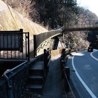 この階段を上がり、橋を渡り、高尾セブンサミッツを歩く