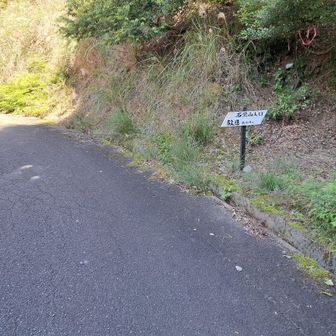 登山道入り口。林道は舗装してありますが、時折落石有り。