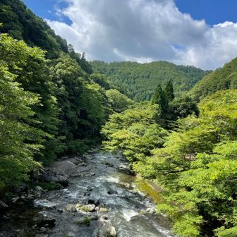 何てきれいな景色なんでしょう😊