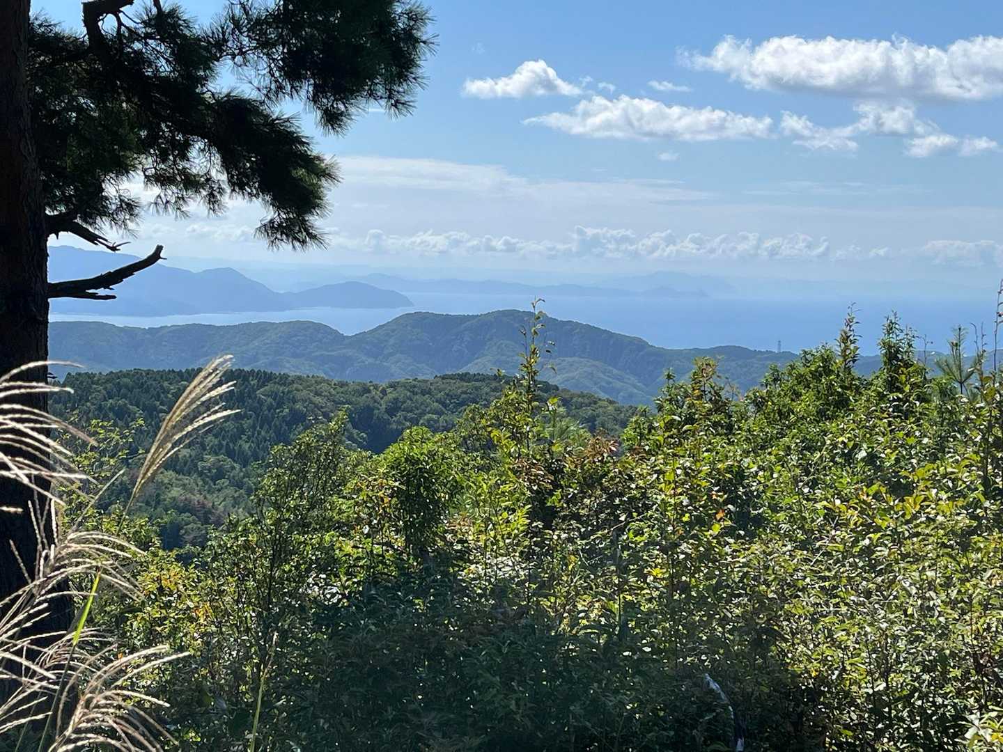 鬼ヶ岳登山口-鬼ヶ岳 往復コースの写真