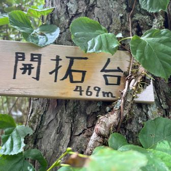 あっという間に開拓台