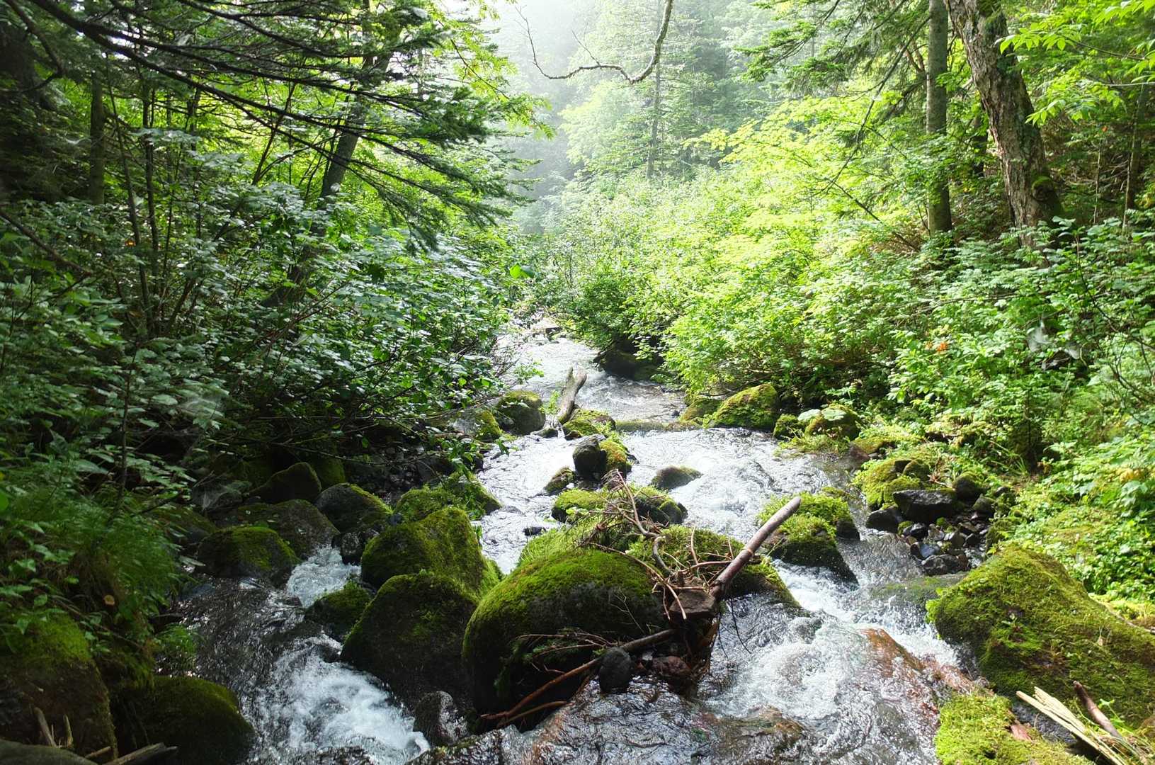 平山 往復コースの写真