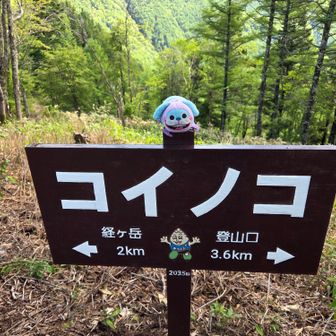 コイノコ(2035m )到着⛰️
コイノコを過ぎると、少し急な登りが始まります🚶‍♀️💦