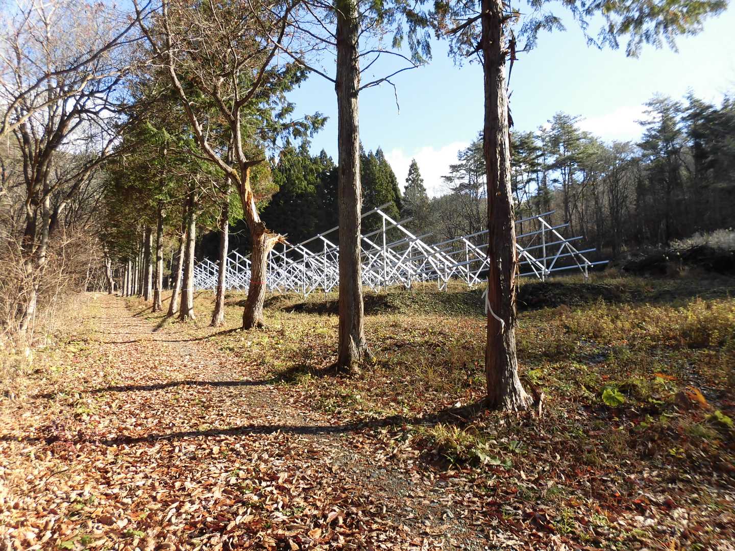 いつの間にか太陽光パネル建設中。
