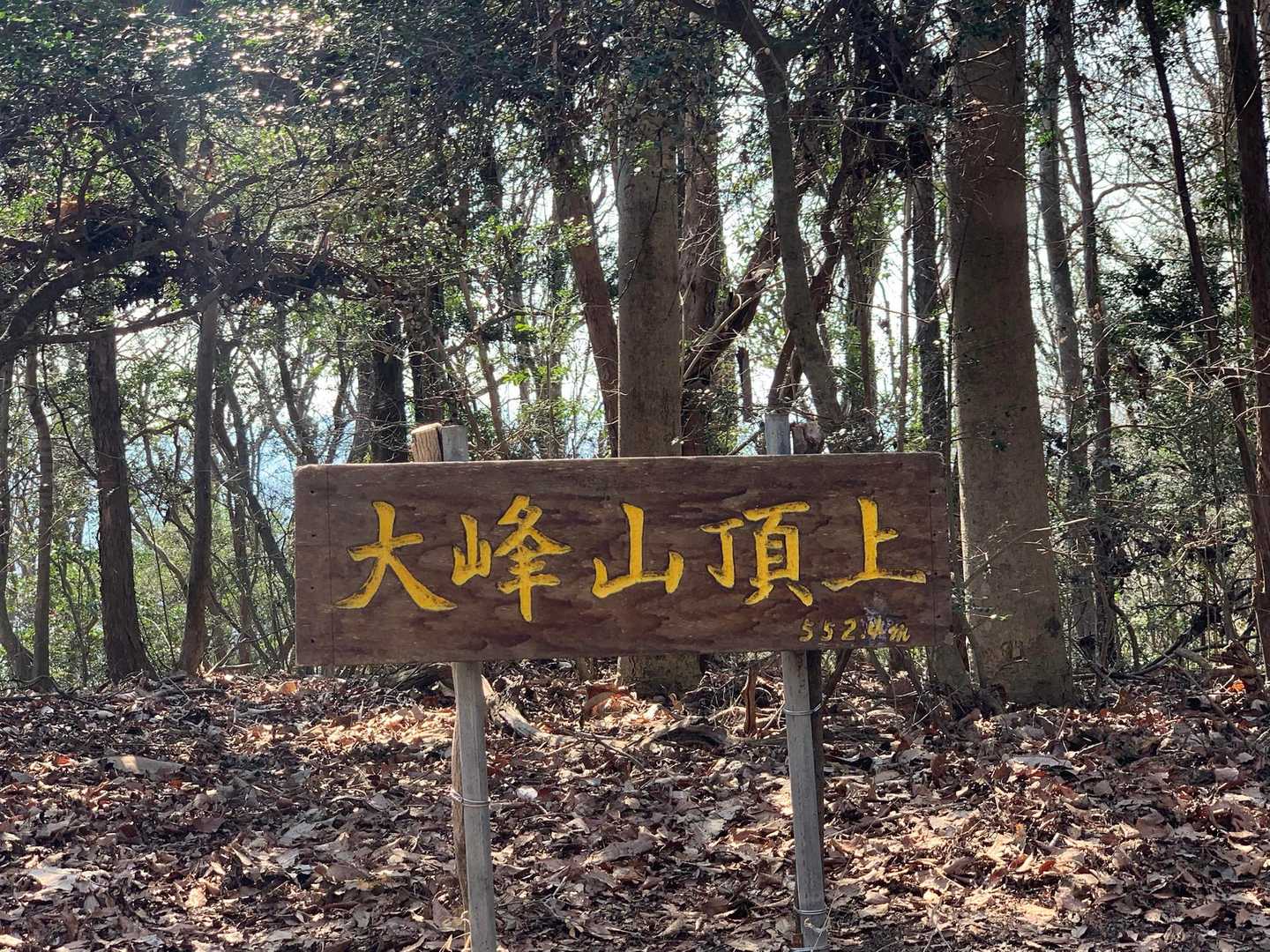 大峰山山頂 552.4m
