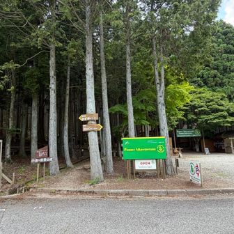小金ヶ岳に向かってレッツゴー