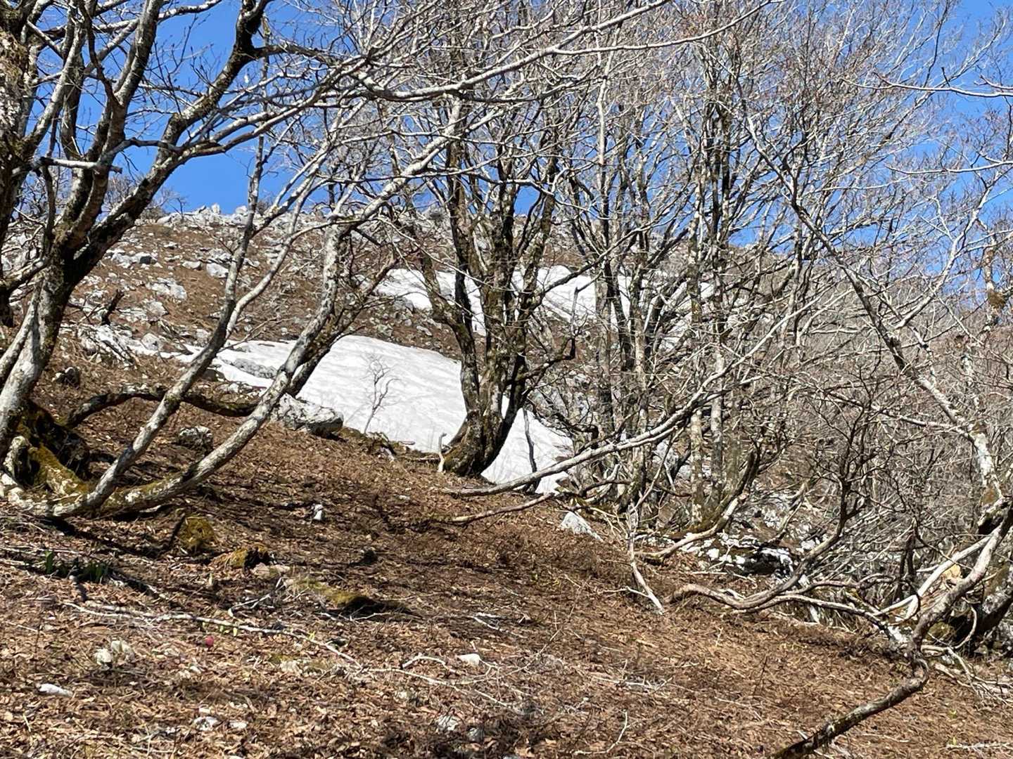 まだところどころに雪があります！
触りたいけど我慢です。