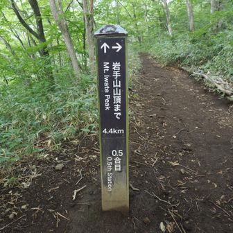 0.5合目
新道と旧道の分岐です。
右に折れて新道を進みました。