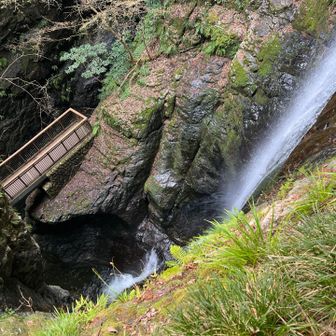 怖🥶　覗き込む🥶　迫力凄すぎて🥶