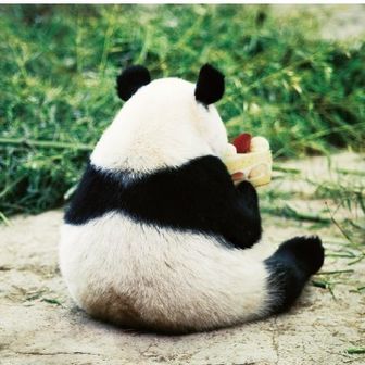 かるちよ⛰🫶✨