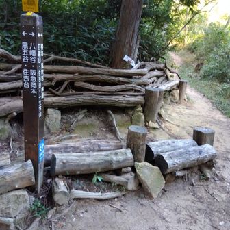 打越峠。ここまで来ると、岡本までは一時間程なのでホッとします