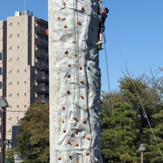 ボルダリングやってました🧗
そんなにへばりついたらあかん！