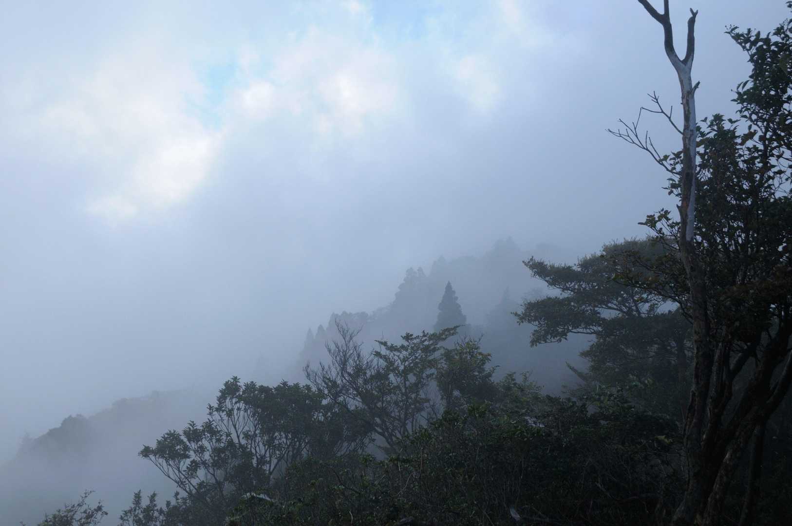 何のピークか知らんけど、ガスで見え隠れする様がラスボスっぽくてカッコ良かった