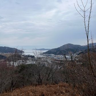 近づいてきました