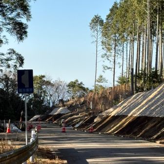 歩いて枕木階段まで戻ります