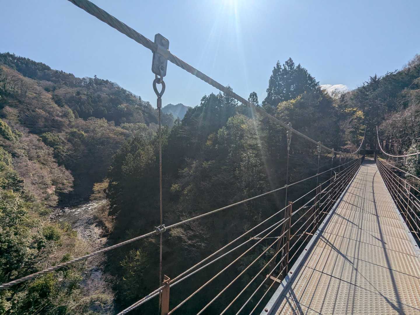 大室山 往復コースの写真