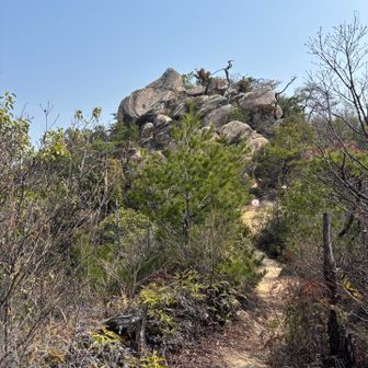 これもまたすごい‼️
ここも登れません、迂回で