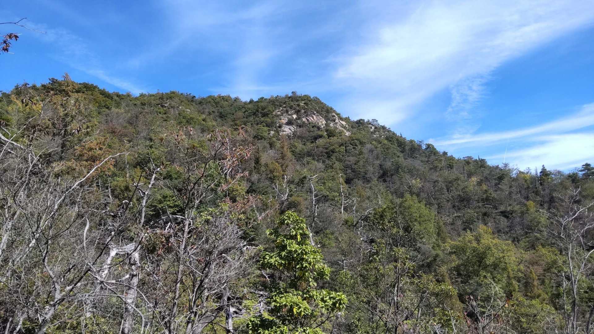 目指す槌山が見えます