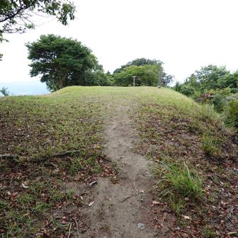大根地山