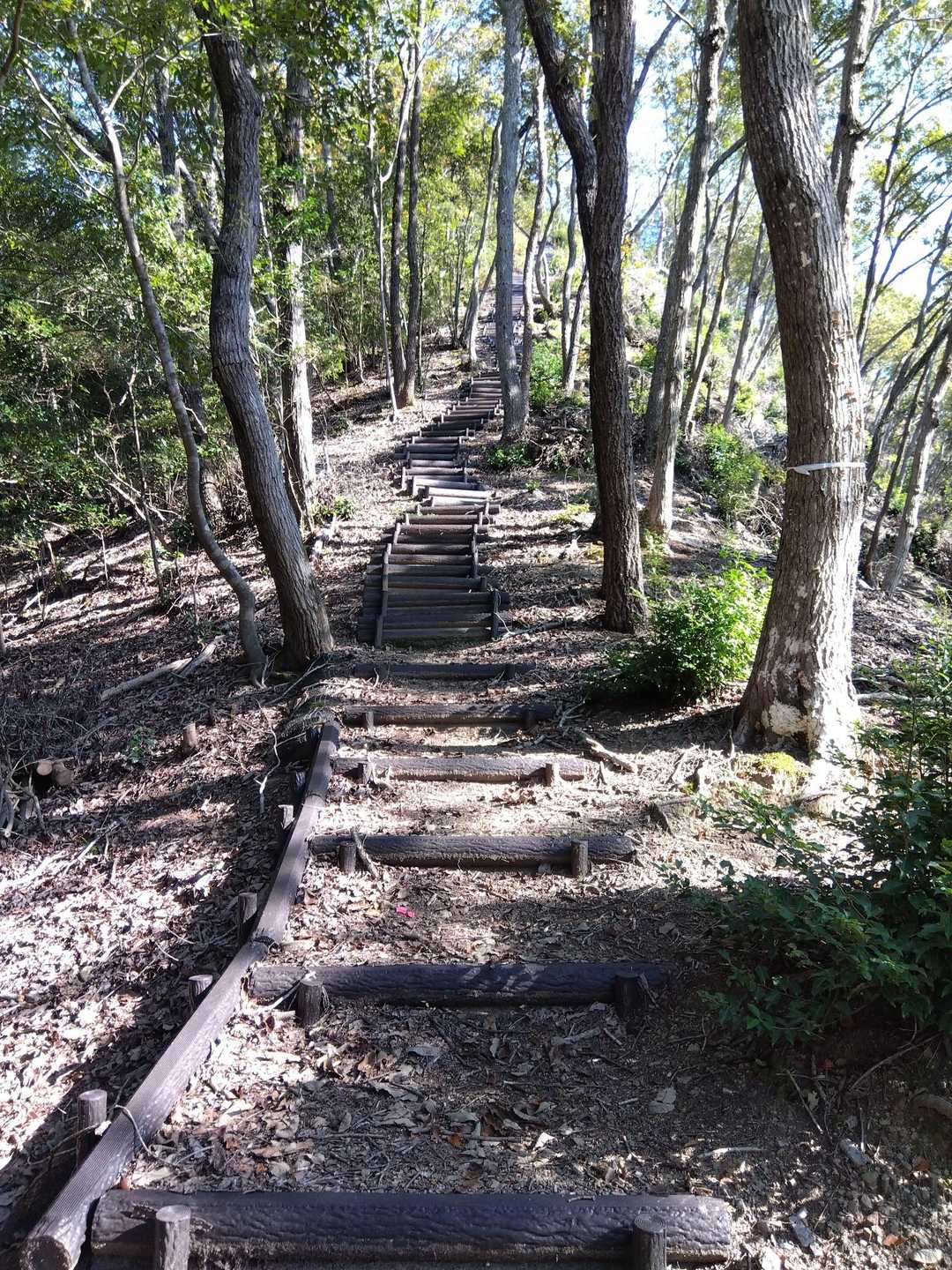 美しい里山公園栄町出入口-塩野尾山-尻無山 往復コースの写真