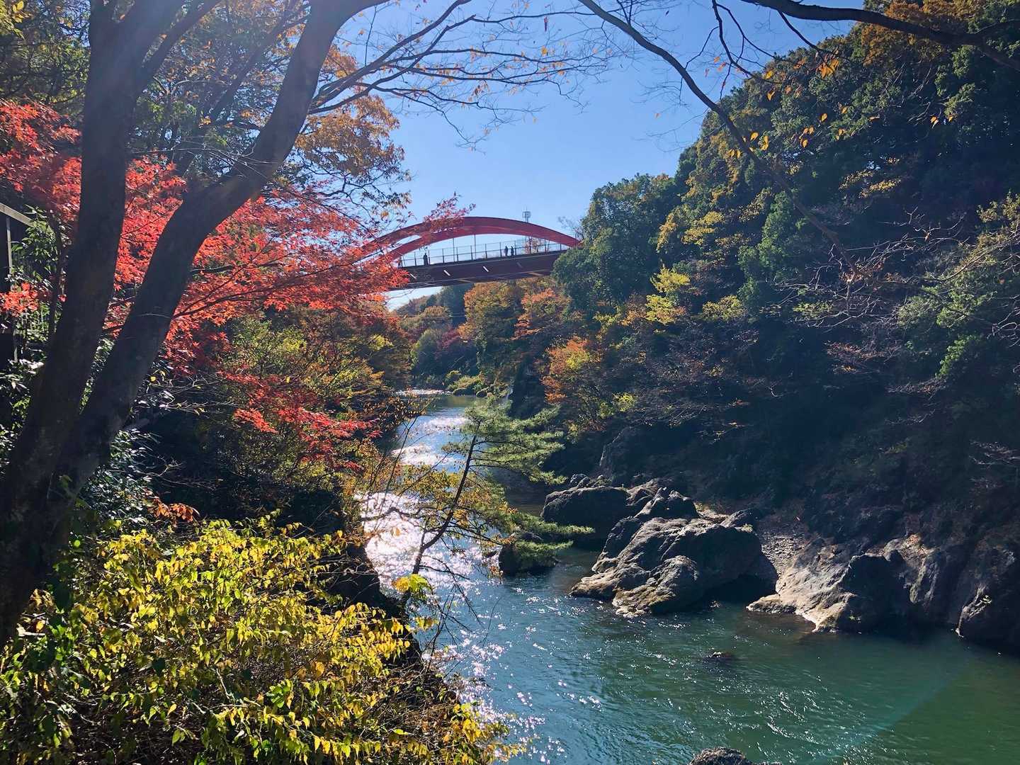 高津戸峡