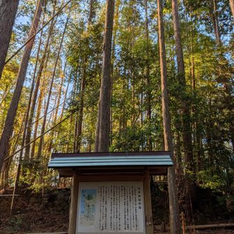 松本峠到着