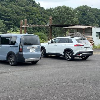 下山時には自分だけ…
お隣りの車の方は登山者ではないようです。
車内にいらっしゃいます🚙