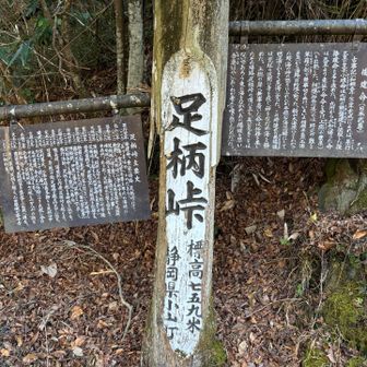 9世紀以後も結構通過されているな