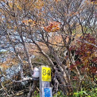 うまもっち、見えるかな
