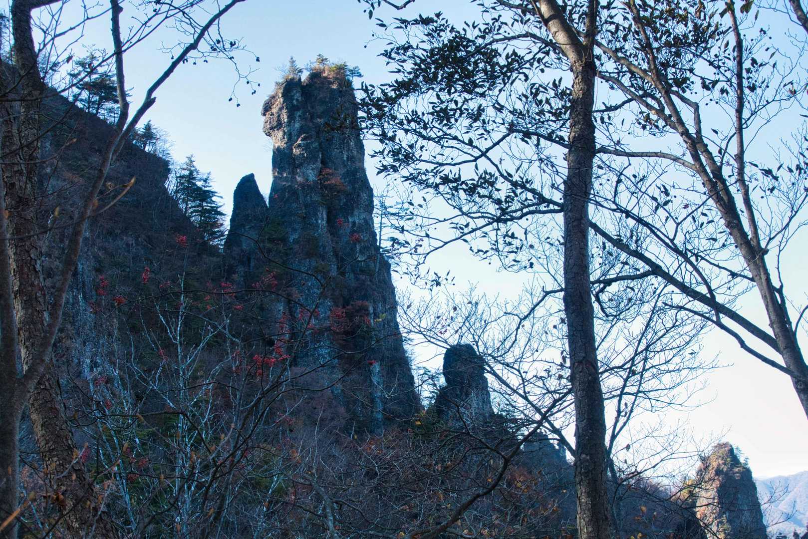 丁須の頭登山口-馬頭観音-もみじ谷-三方境-谷急山 往復コースの写真