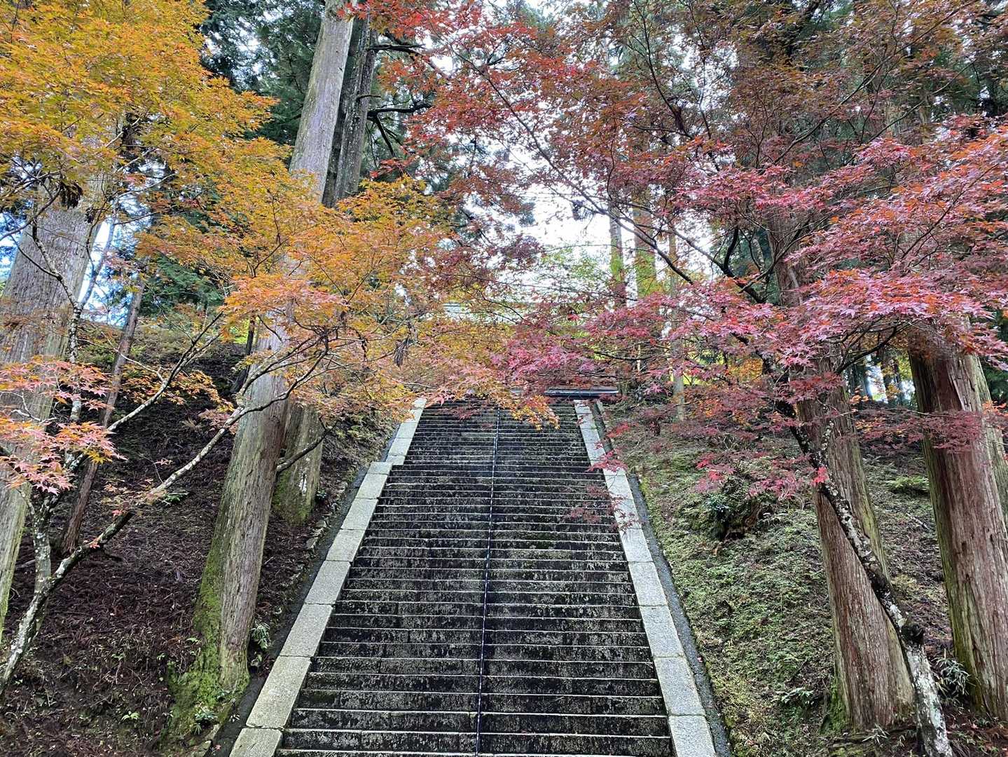 比叡山 | 歴史と自然が交わる、京都北山の縦走路の写真