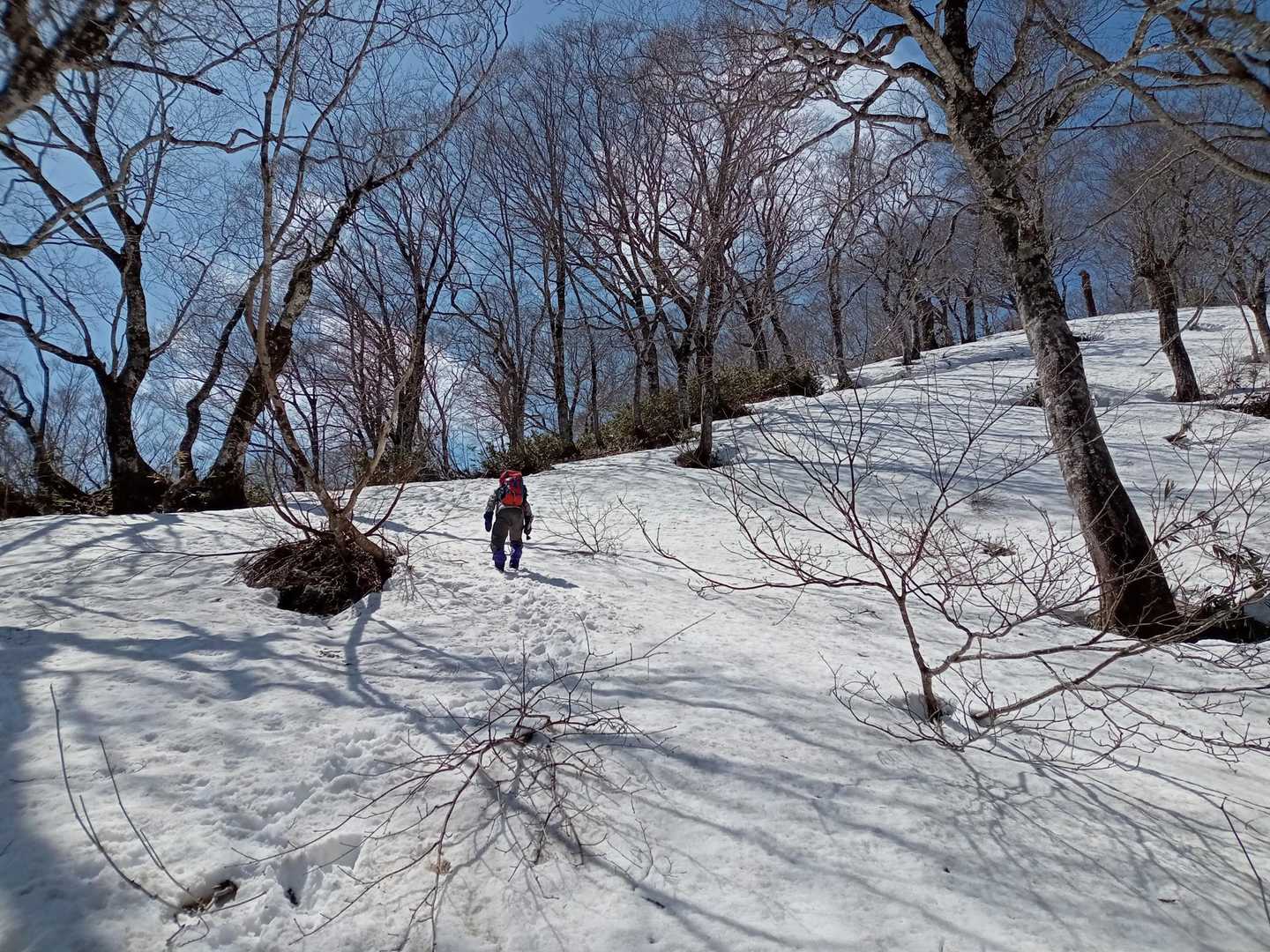 何とか進みます
