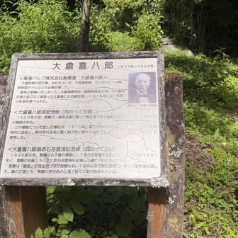 椹島に帰還
10:30バスの整理券を求めに行ったら、もう満杯なのでキャンセル待ちになるとのこと
次のバスは13:00 
歩けば8時間くらいはかかりそうなので、不貞腐れてベンチに寝そべった。そしたら蚊に刺された。
泣き面に蚊。
ところがこの後、バスが出る寸前に小生にお呼びがかかる。補助席だったが、椹島の兄さんの計らいで無理やり乗せて貰えたのでした。ありがとう😊