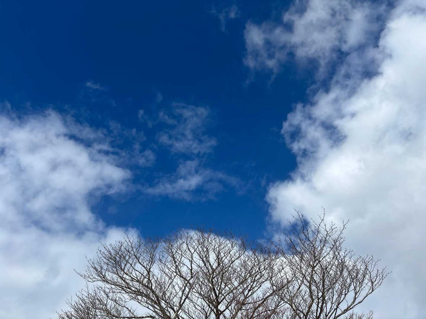 綺麗な青空💞
