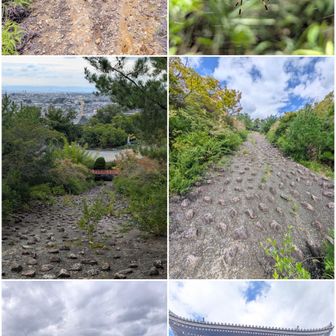 東尾根から中山寺への景色一式。

女郎蜘蛛四姉妹が待ち構えてました。指導！！
クモの巣タンパク質供給は無用ですが、口に入ります。粘着成分が甘いと良いんですけどねぇ。無味。集めると白、無色透明ではなく黄色い。

いけず石ではありません。
雨水の通り道です。

中山寺、山門。
今日も直帰ですぅ。