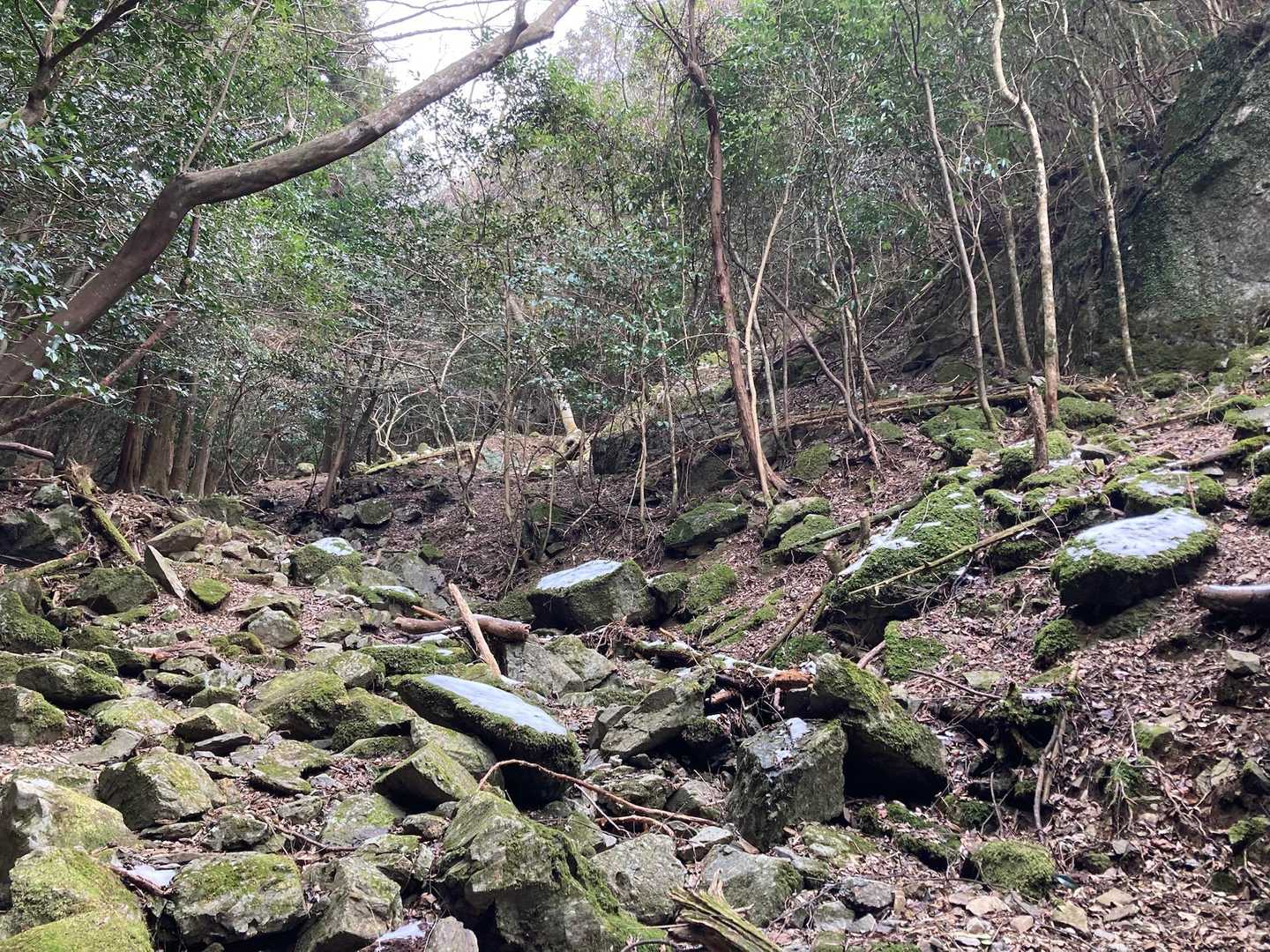 笠置山 往復コースの写真