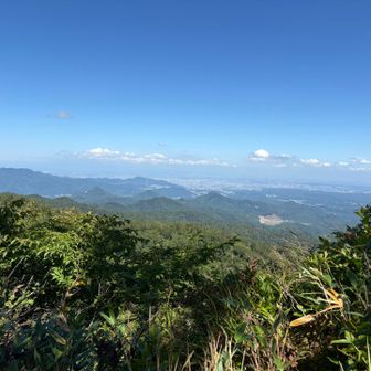分岐過ぎると稜線を歩くので眺めヨシ‼️
ご褒美歩きは10分。