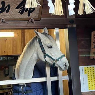 神馬の錦山🦄✨
大勢に囲まれる中ウマく撮れました🥰
感謝感謝❤