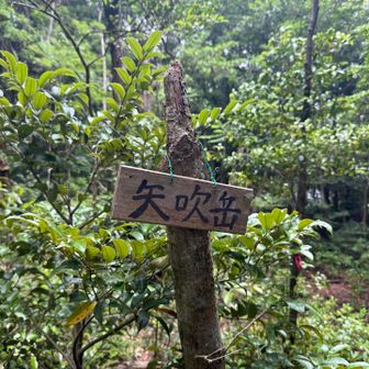矢吹岳。